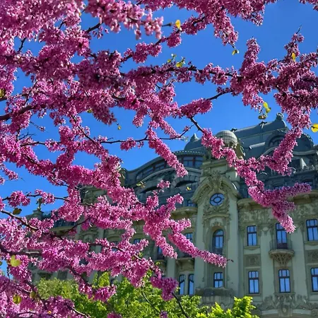 Domik Na Fontane ゲストハウス