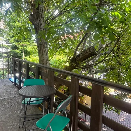 Guest house Domik Na Fontane *