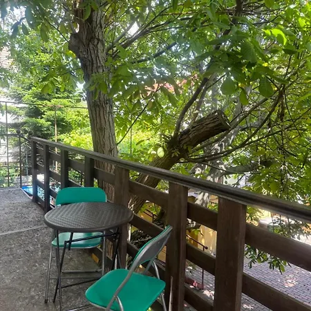 Guest house Domik Na Fontane *