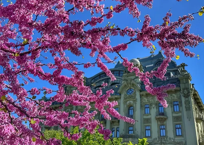 Domik Na Fontane Guest house